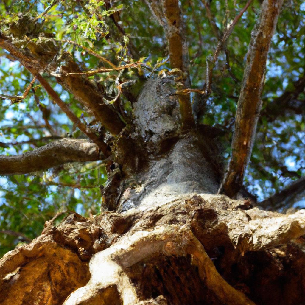Clique Para Ver Plantas De Raízes Fortes